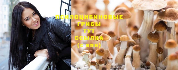 метамфетамин Новозыбков