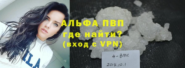 гашик Новокубанск