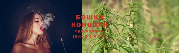 гашиш Новодвинск