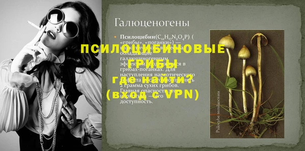 гашиш Новодвинск
