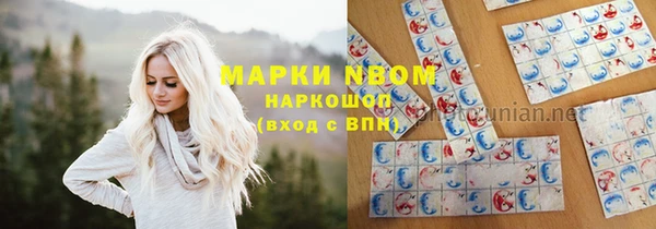 гашик Новокубанск